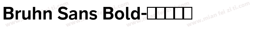 Bruhn Sans Bold字体转换